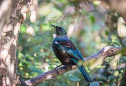large access studio kitchen