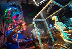 resizedimage250187 otagomuseumthumb